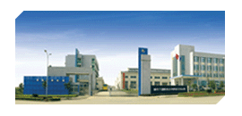 國內電永磁技術領導者 國內電永磁技術領導者